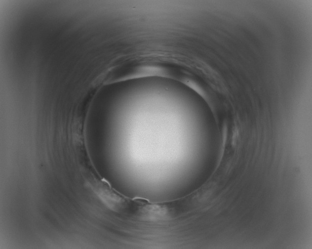 X0000083550421200702091103