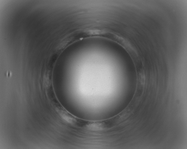X0000083550422200702091103