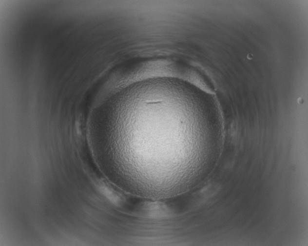 X0000083550424200702091103