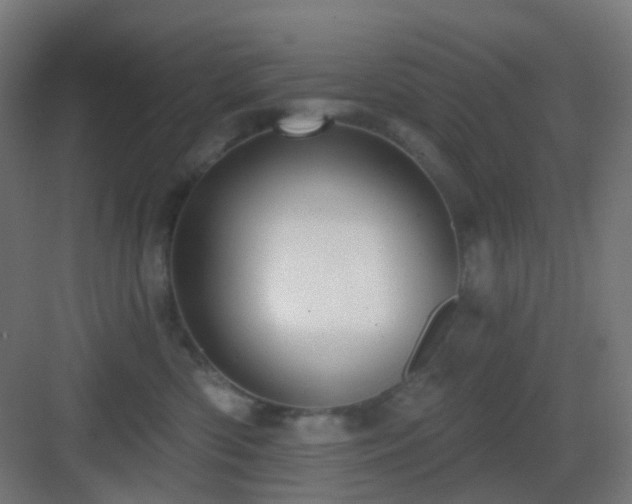 X0000083550426200702091103