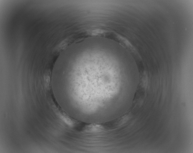 X0000083550427200702091103