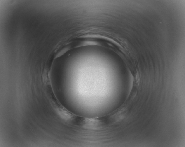 X0000083550429200702091103