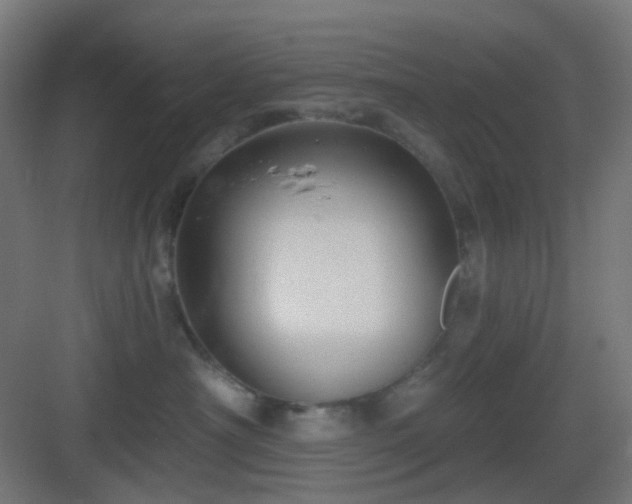 X0000083550430200702091103