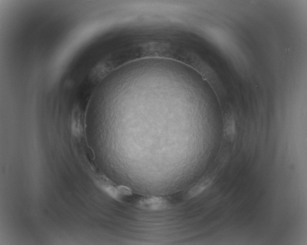 X0000083550431200702091103