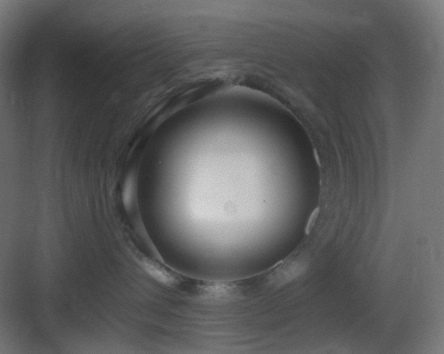 X0000083550432200702091103