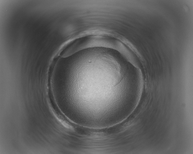 X0000083550438200702091103