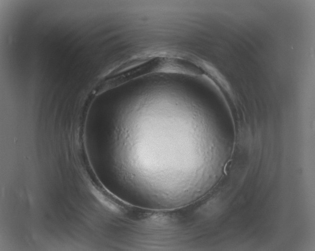 X0000083550441200702091103