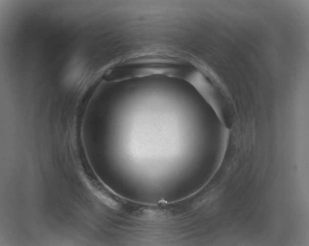 X0000083550442200702091103