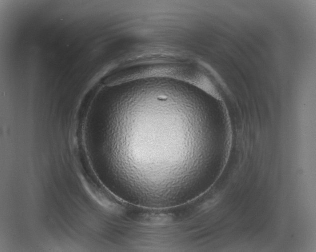 X0000083550443200702091103