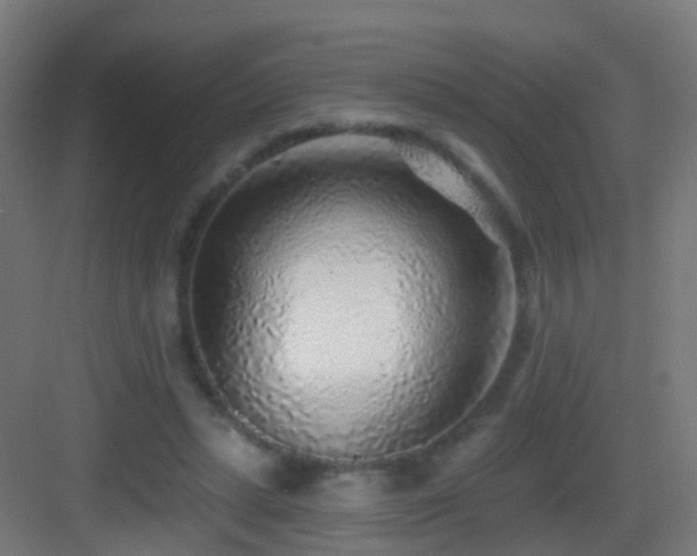 X0000083550447200702091103