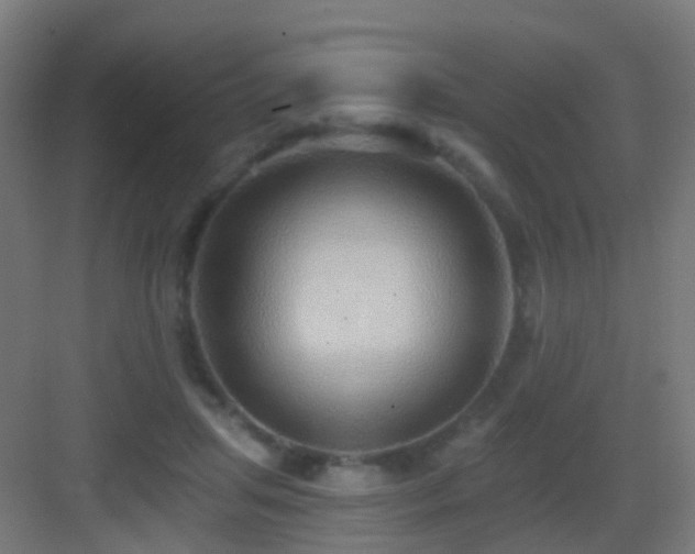 X0000083550455200702091103