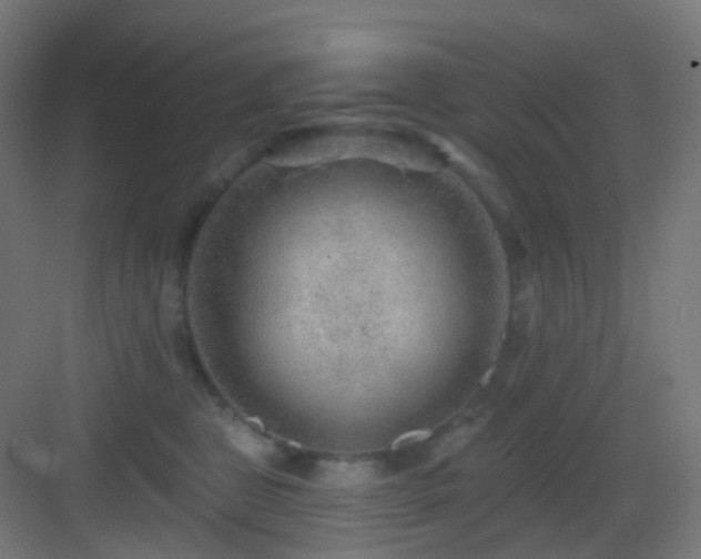 X0000083550469200702091103