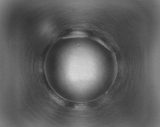 X0000083550470200702091103