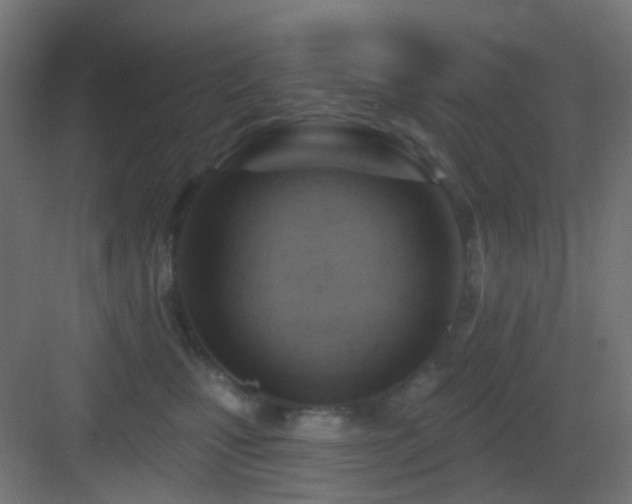 X0000083550471200702091103