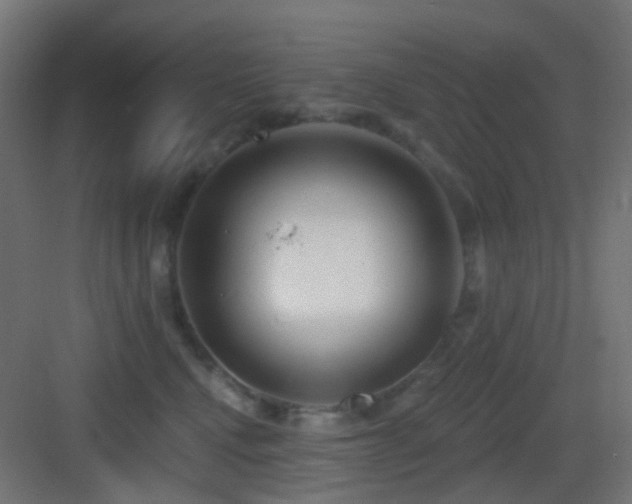X0000083550472200702091103