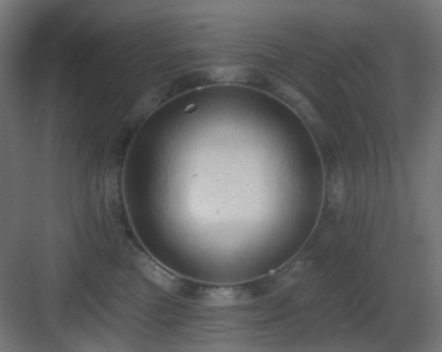 X0000083550473200702091103