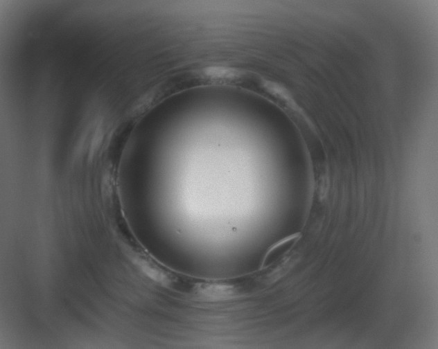 X0000083550476200702091103