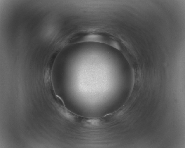 X0000083550478200702091103