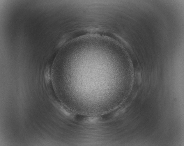 X0000083550479200702091103