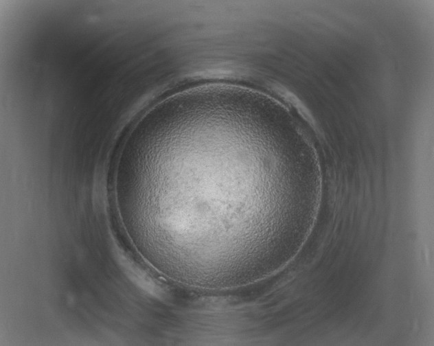 X0000083550482200702091102