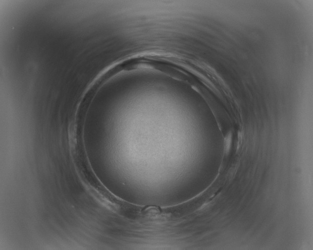X0000083550484200702091102