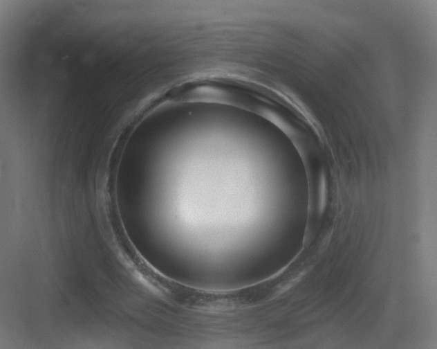 X0000083550485200702091102