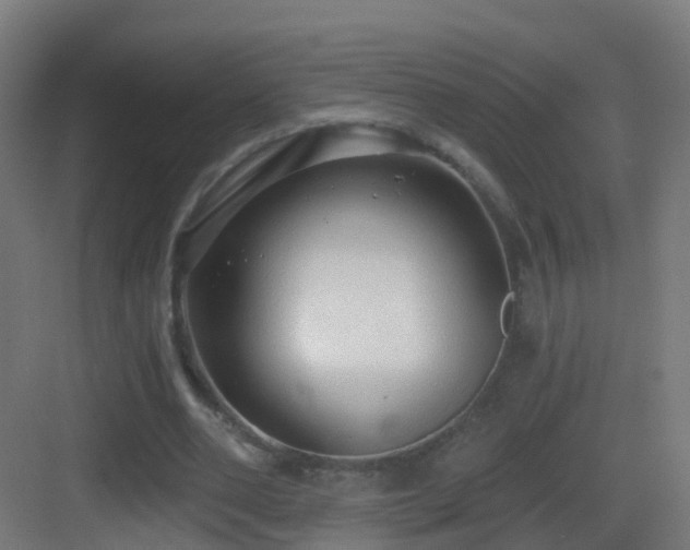 X0000083550486200702091102