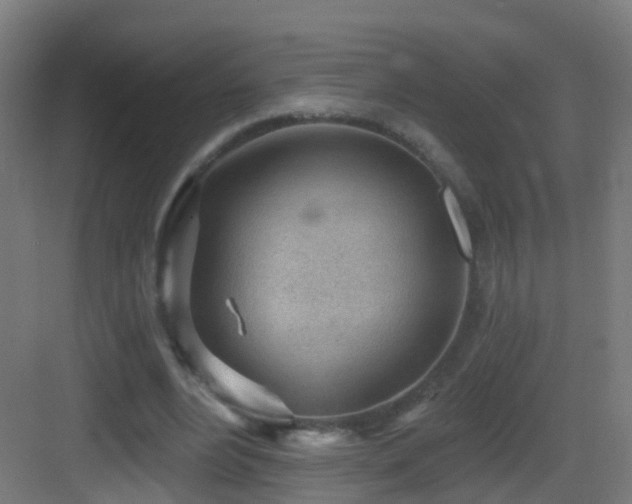 X0000083550488200702091102