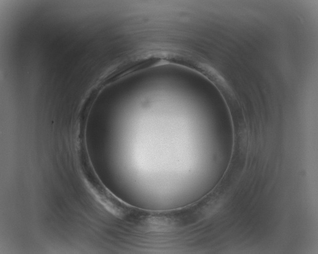X0000083550490200702091102
