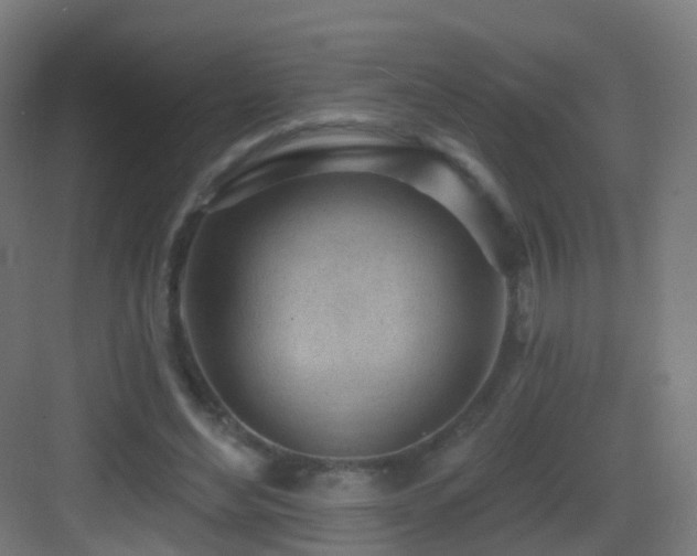 X0000083550492200702091102