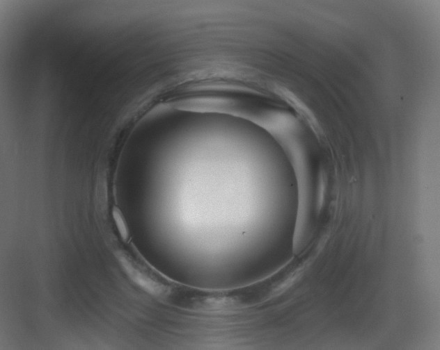 X0000083550493200702091102