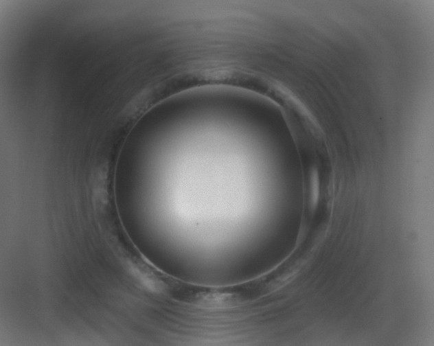 X0000083550497200702091102