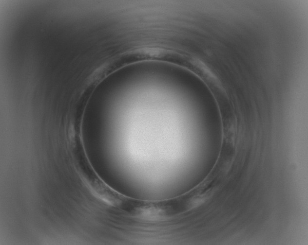 X0000083550500200702091102