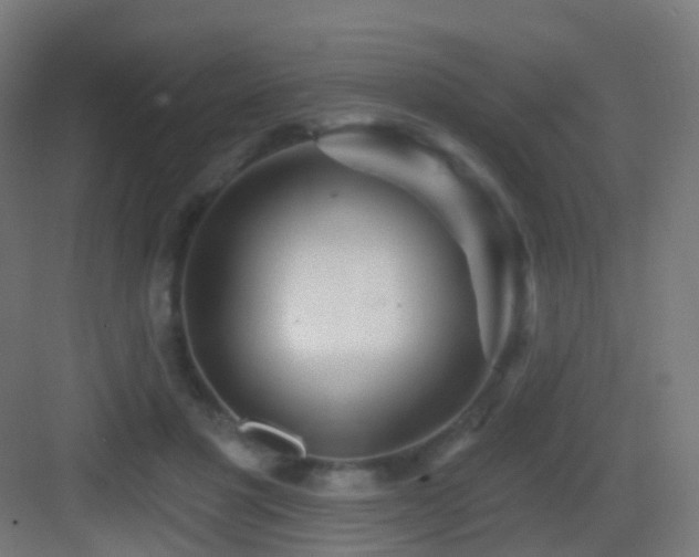 X0000083550501200702091102