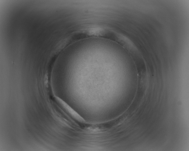 X0000083550502200702091102