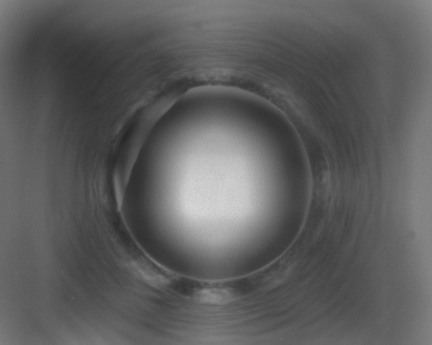 X0000083550508200702091102
