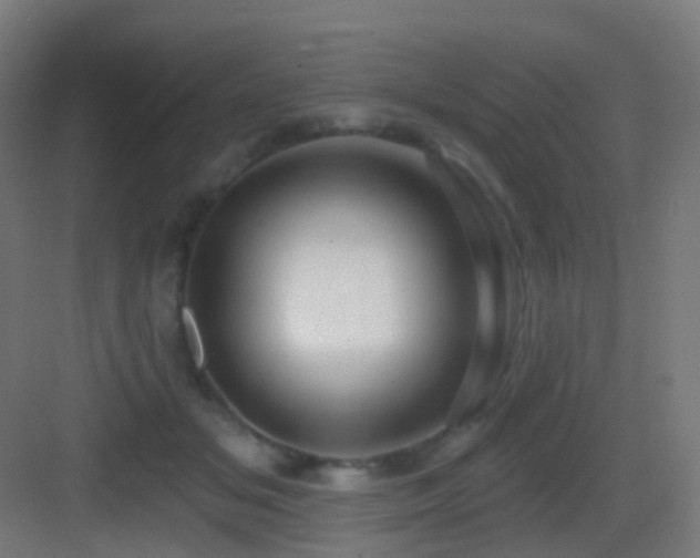 X0000083550509200702091102