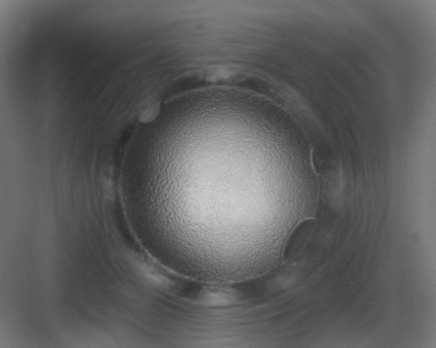 X0000083550510200702091102