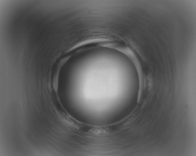 X0000083550512200702091102