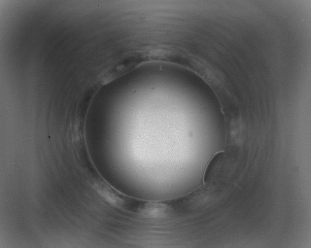 X0000083550514200702091102