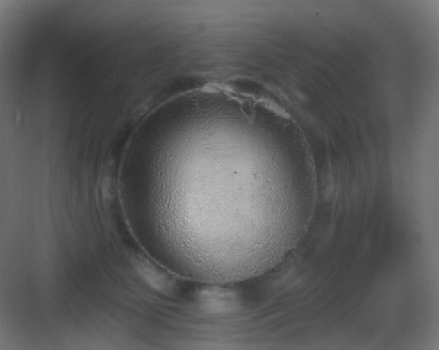 X0000083550515200702091102