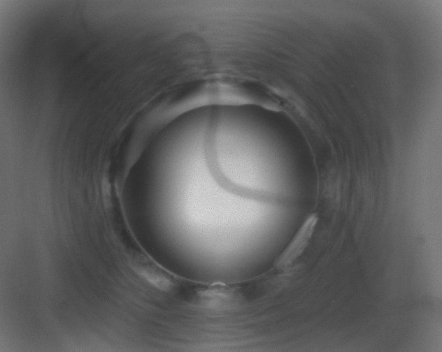 X0000083550516200702091102