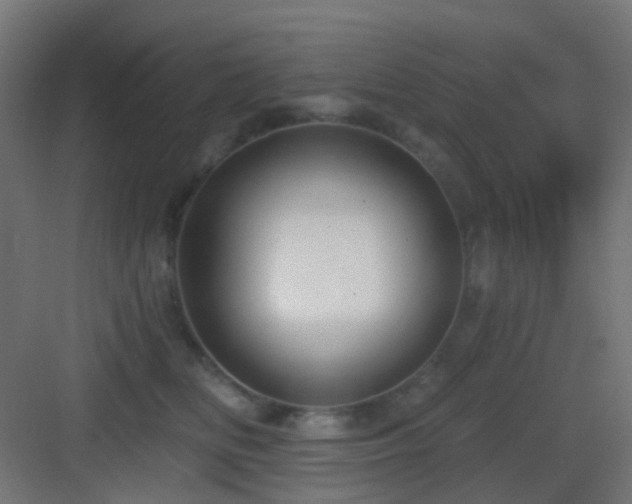 X0000083550518200702091102