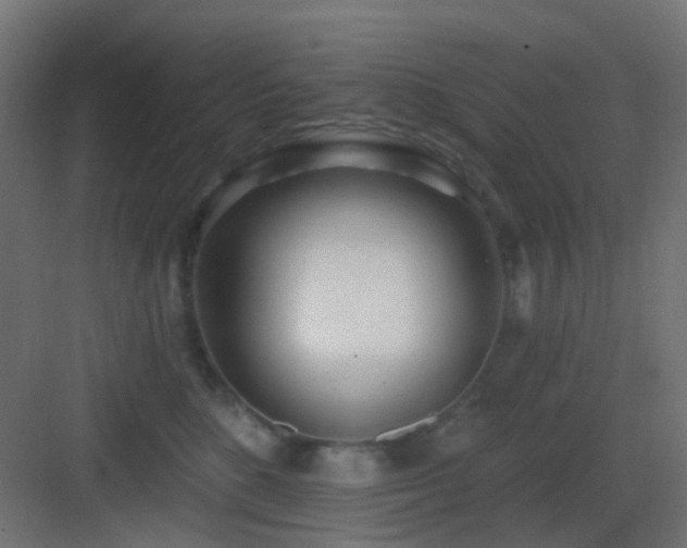 X0000083550520200702091102