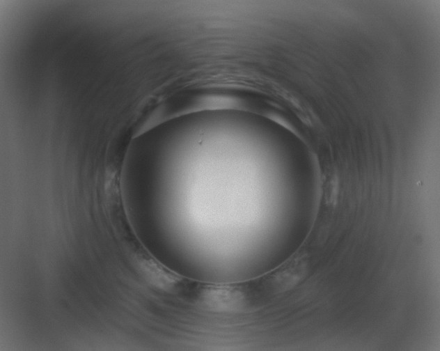 X0000083550521200702091102