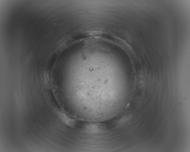 X0000083550523200702091102