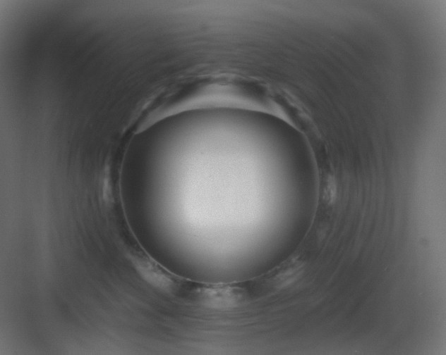 X0000083550524200702091102