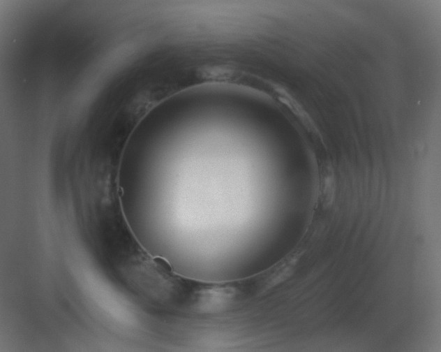 X0000083550525200702091102