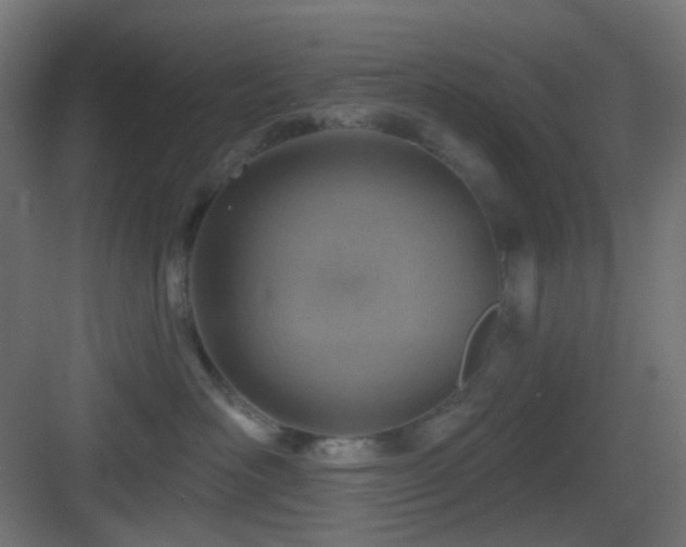 X0000083550526200702091102