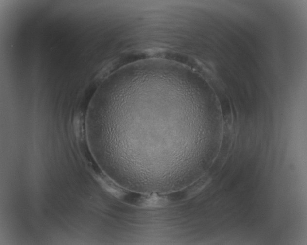 X0000083550527200702091102